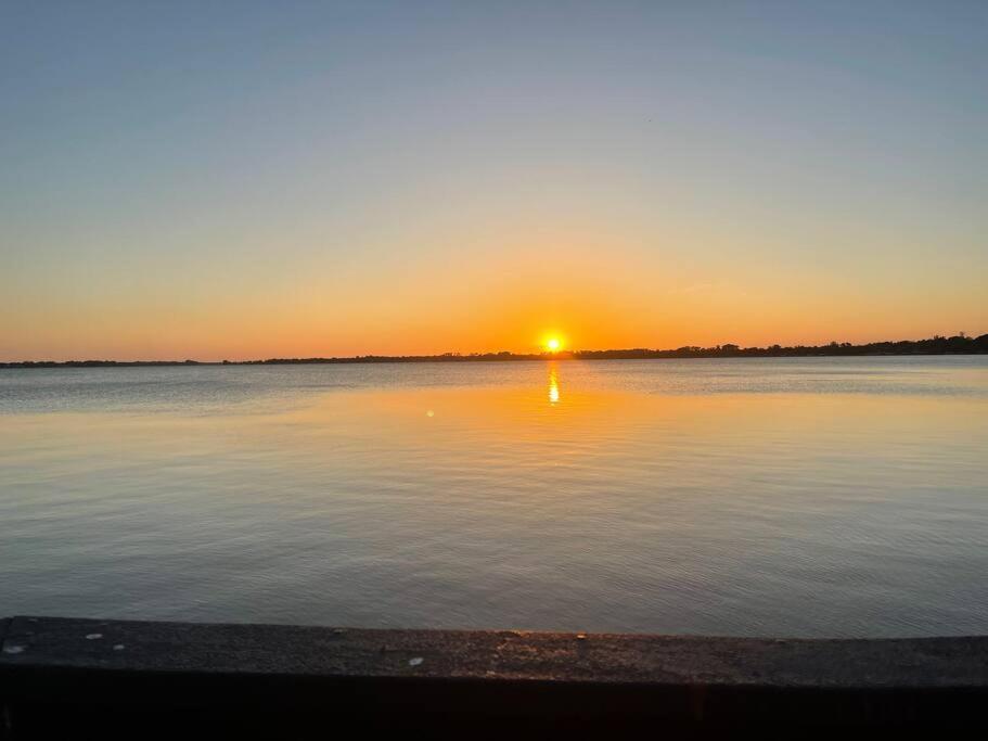 Lakefront Duplex With Pontoon Boat 2 Bedroom Home マウント・ドラ エクステリア 写真