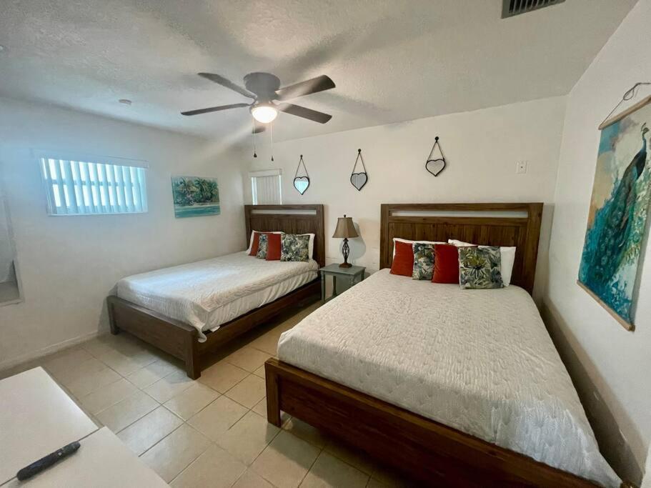 Lakefront Duplex With Pontoon Boat 2 Bedroom Home マウント・ドラ エクステリア 写真